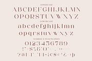 Gotrie - Modern Serif Font, a Serif Font by Aqeel_Art (Thumbnail 10 of 12)