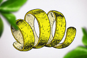 Lemons vector sketches, an Object Graphic by WalnutBird (Thumbnail 6 of 6)