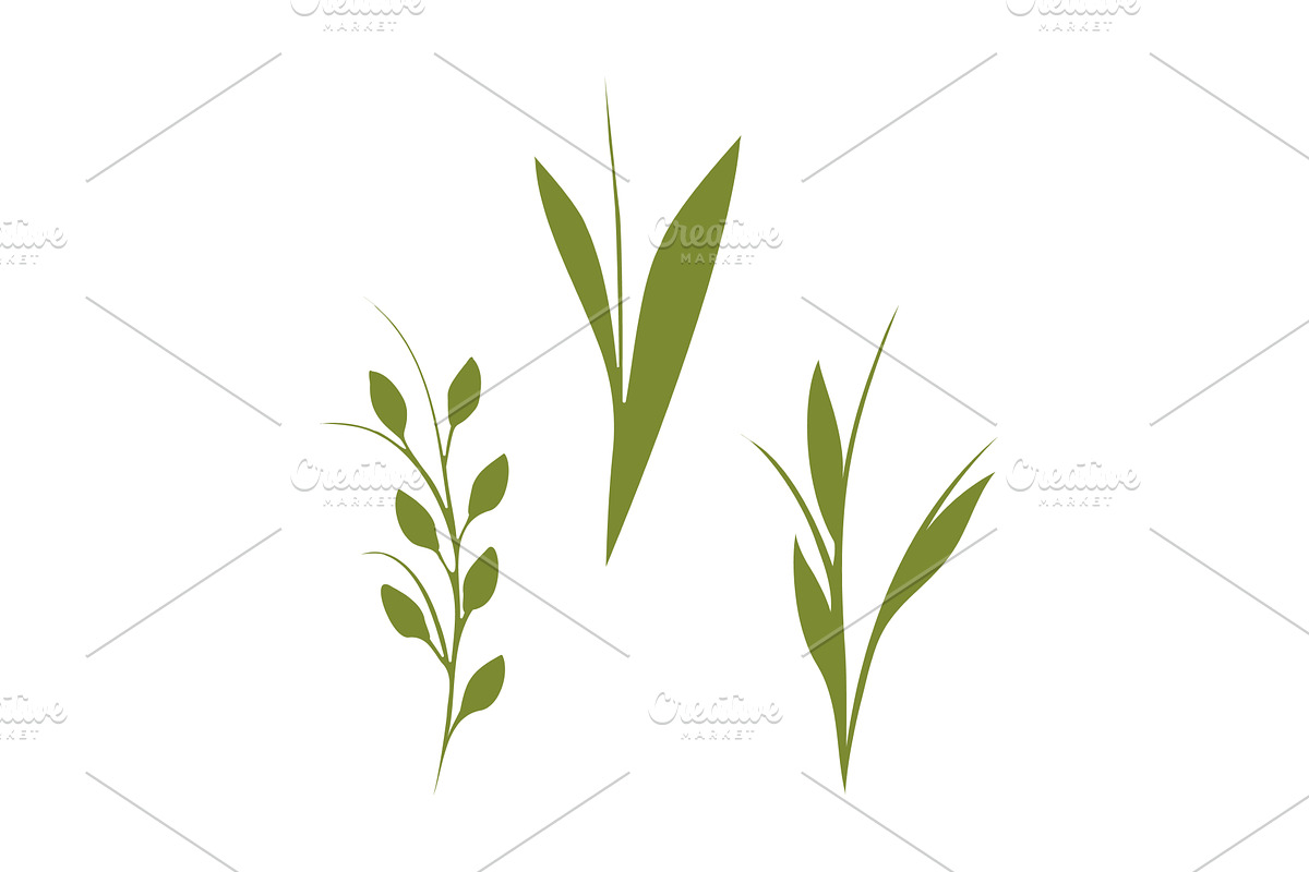 Green plant stems trio set minimal, an Object Illustration by okskukuruza