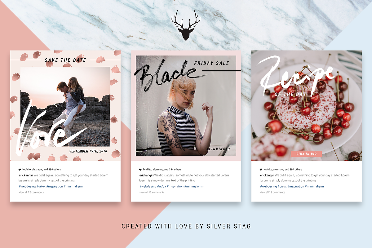 Rose Gold ANIMATED Instagram Posts, a Social Media Template by SilverStag Type Foundry (Photo 14 of 15)