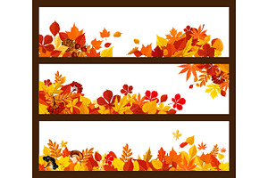 Autumn Leaf, Mushroom And Berry Banner Border