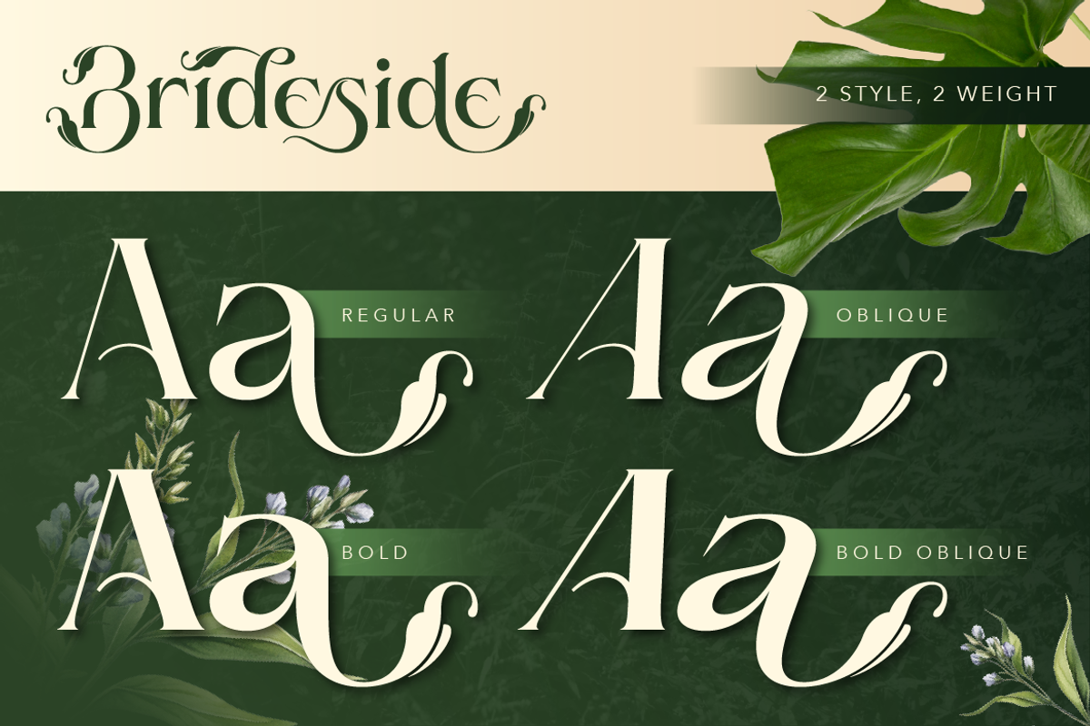 Brideside, a Serif Font by Burntilldead (Photo 4 of 12)