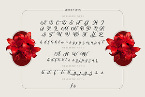 Vaclice Script Font