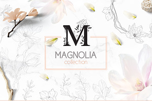 ❀Magnolia collection❀
