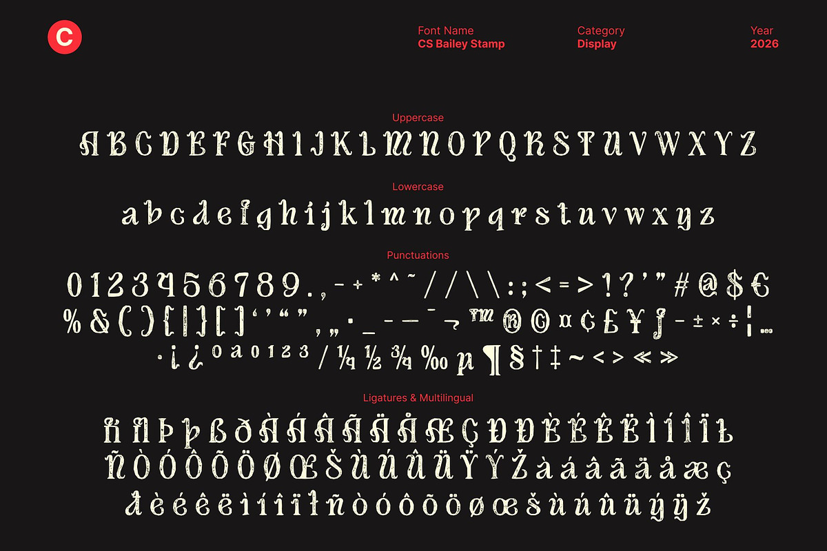 CS Bailey Stamp, a Serif Font by Craft Supply Co. (Photo 8 of 8)