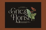 Amelin Elegant Serif Font, a Serif Font by Graphicxell (Thumbnail 3 of 8)