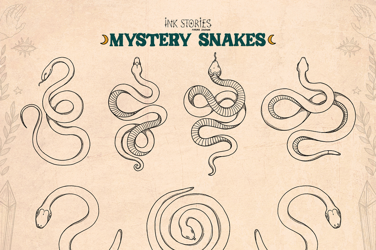 Mystery Snakes, an Animal Illustration by Ink Stories (Photo 6 of 31)