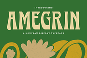 Amegrin - Vintage Display Font, a Serif Font by Sronstudio (Thumbnail 1 of 13)
