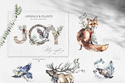 Forest Legends Winter animal set, a Seasonal Illustration by Anastezia Luneva (Thumbnail 8 of 17)