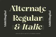 Angfia Relaftio Modern Serif Font, a Script Font by Letterena Studios (Thumbnail 9 of 15)