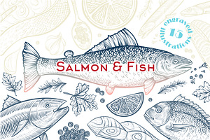Salmon & Fish vector sketch