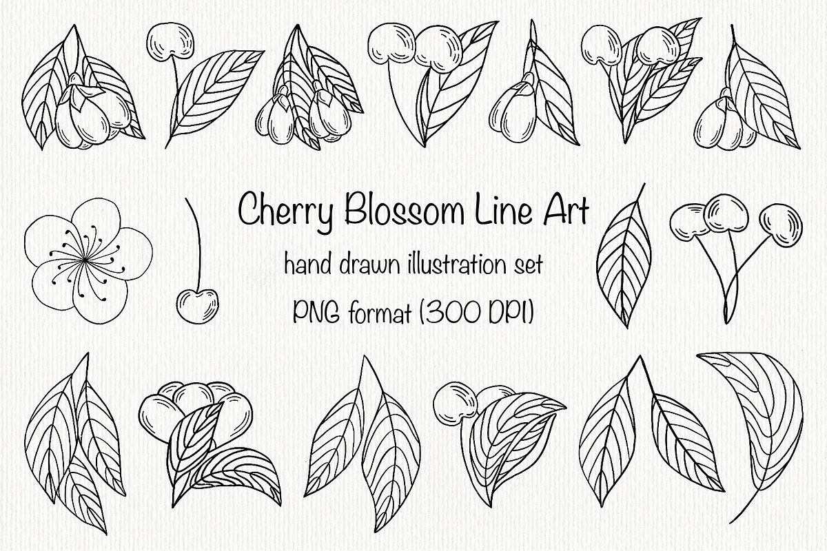 Cherry Blossom Line Art, a Seasonal Illustration by Iryna Mel (Photo 1 of 10)