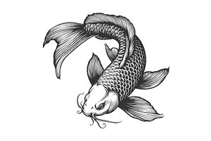 Graceful Koi Fish With Flowing Fins