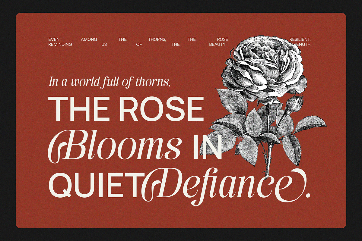 Austyns Sakyra Calligraphy Serif, a Serif Font by Graphicxell (Photo 5 of 10)