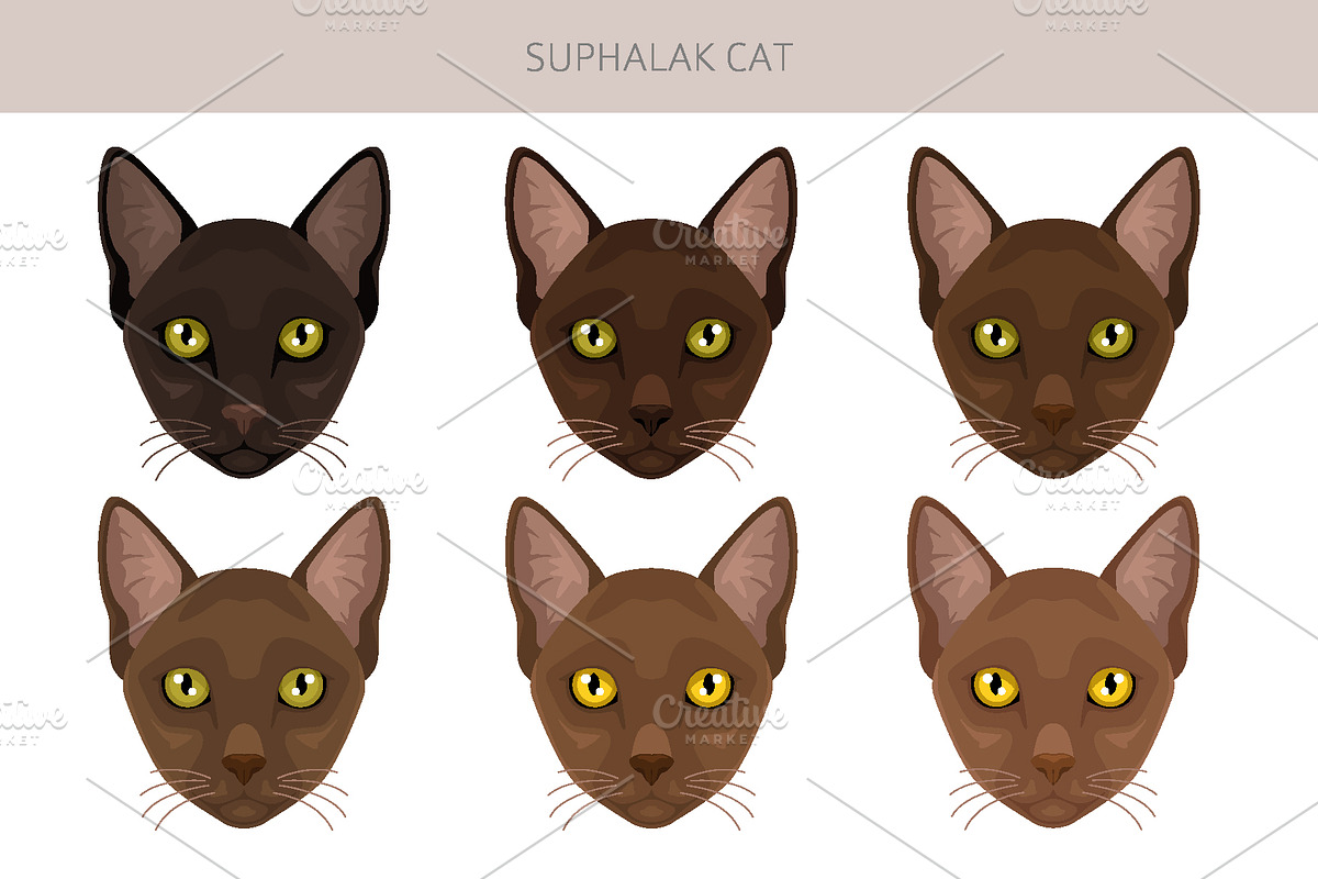Suphalak cat clipart, an Animal Illustration by pet design shop (Photo 5 of 6)