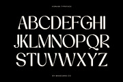 Vorage | Modern Minimalist Typeface, a Serif Font by Mahesans Co (Thumbnail 4 of 10)
