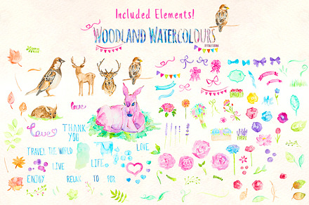 Watercolor Animal and Flowers Bundle