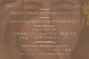 SS Loventica - Chic Elegant Serif, a Serif Font by Typocracy Studio (Thumbnail 10 of 10)