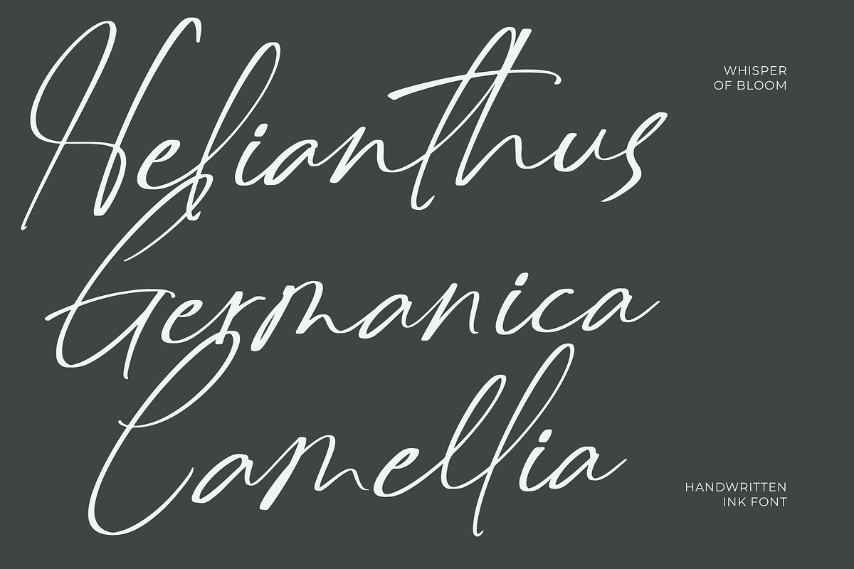 Delynta Roastiph Handwritten Ink Fon, a Script Font by Letterena Studios Script (Photo 2 of 15)