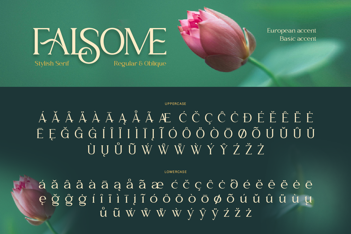 Falsome, a Serif Font by Burntilldead (Photo 11 of 12)
