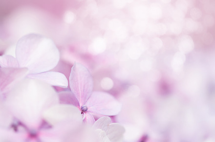 Tenderness