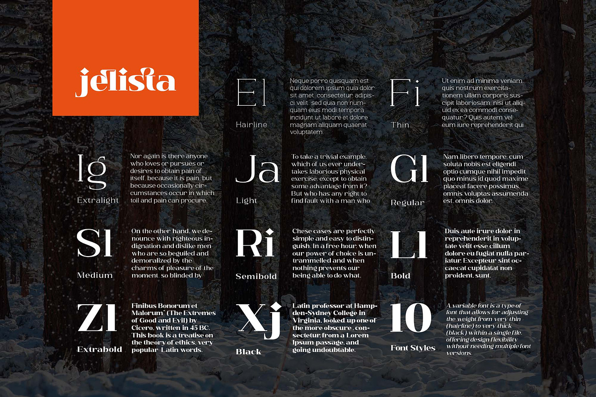 Jelista, a Serif Font by Ardyanatypes (Photo 9 of 12)