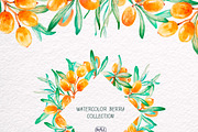 Sea-buckthorn, watercolor collection, an Illustration by Mallinka (Thumbnail 4 of 11)