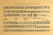 CS Quade – Elegant Font, a Serif Font by Craft Supply Co. (Thumbnail 8 of 8)