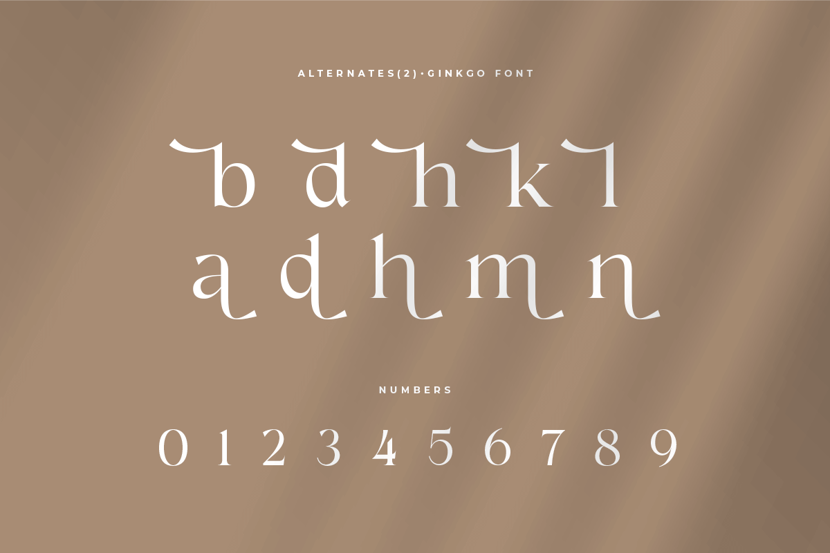 Ginkgo - Modern Classy Serif Font, a Serif Font by Sensatype (Photo 11 of 20)