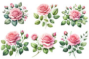Watercolor Roses Clipart Blush Flora, an Illustration by Designworld (Thumbnail 2 of 6)