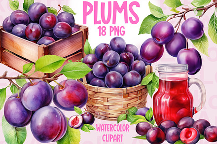 Plums Watercolor Clipart