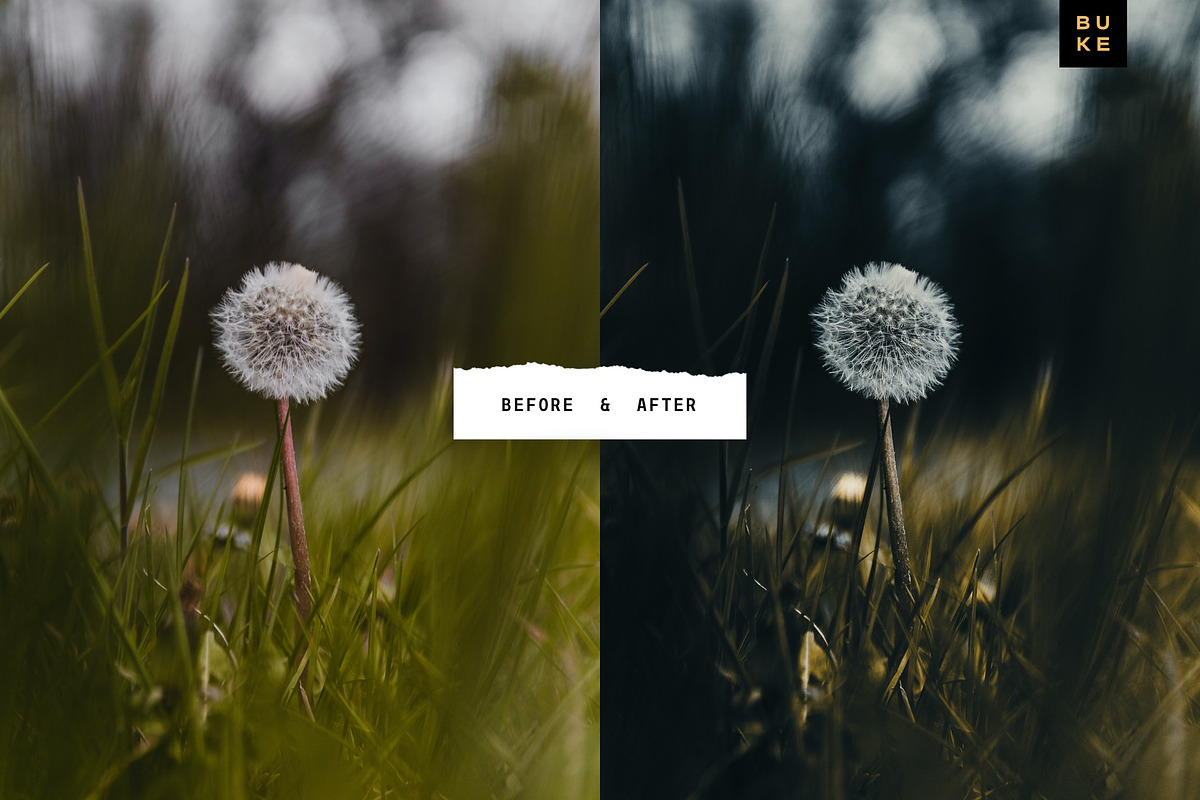 Moody Bay – 4 Pro Lightroom Presets, a Preset Add-On by SHOOM HOUSE (Photo 9 of 9)