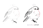 Pigment Pen Brushes, a Brush Add-On by Side Project (Thumbnail 5 of 7)