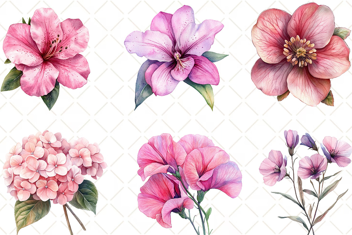 Pink Flowers Watercolor Clipart, an Illustration by Black Bird Studio (Photo 3 of 6)