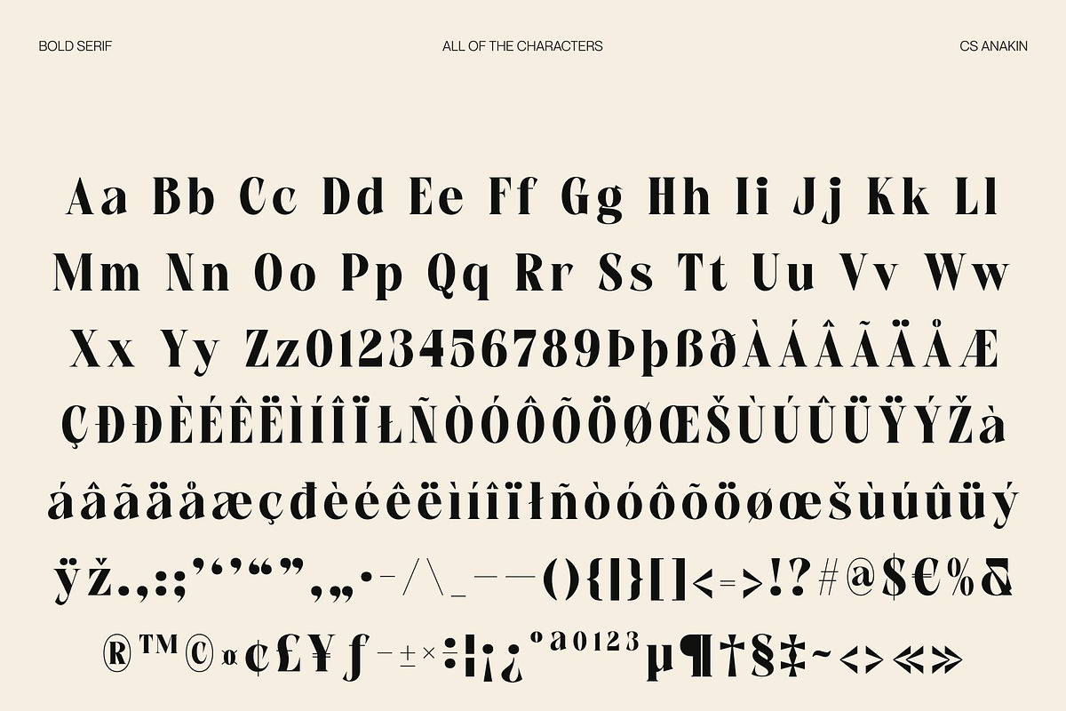 CS Anakin, a Serif Font by Craft Supply Co. (Photo 8 of 8)