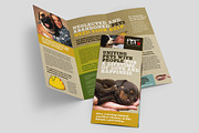 Animal Shelter Brochure Template, a Brochure Template by StockLayouts (Thumbnail 1 of 4)