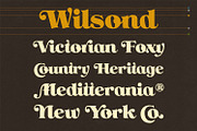 NS Yorkest Poster, a Serif Font by Novisouldado (Thumbnail 9 of 14)