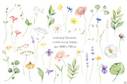 Watercolor Butterflies and Flowers, a Decorative Illustration by Elena Medvedeva (Thumbnail 5 of 12)