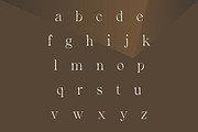 Avander | Modern Stylish, a Serif Font by Muntab_Art (Thumbnail 11 of 13)
