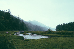 Goldstream Park