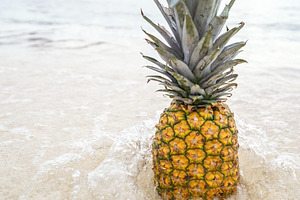 Pineapple at Beach in Mexico 6