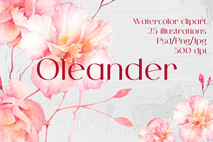 Oleander flower watercolor clipart
