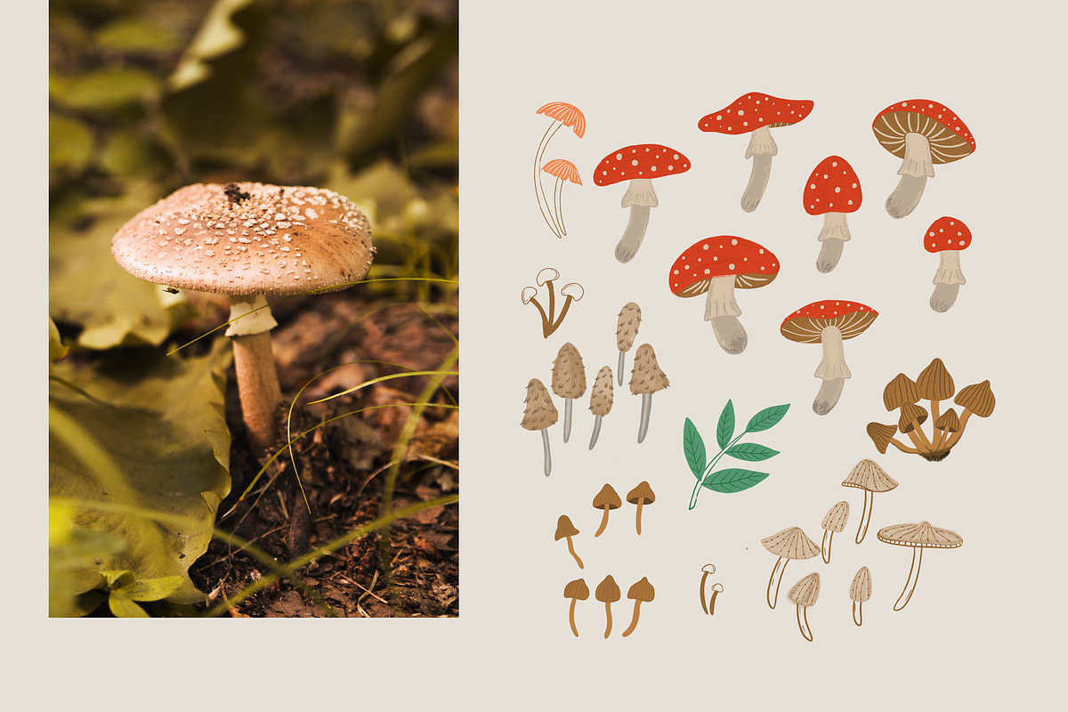 Mushroom pattern collection, a Pattern Graphic by Alona Savchuk (Photo 2 of 7)