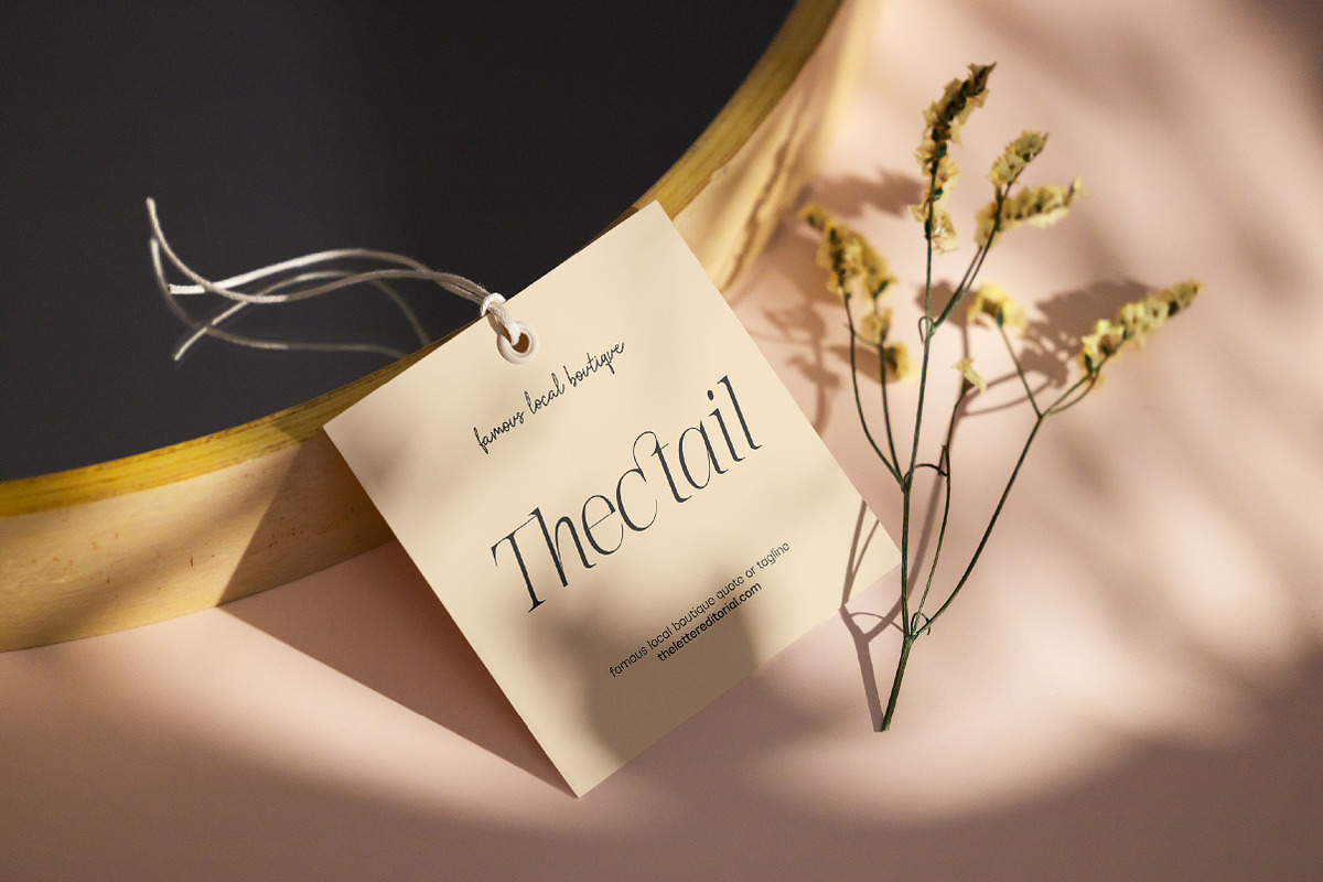 The Letter Editorial – Modern Serif, a Serif Font by Lettertype Studio (Photo 14 of 16)
