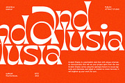 Aradela Display, a Serif Font by Attract Studio (Thumbnail 3 of 13)