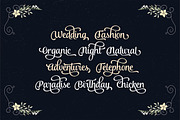 Andalusia Script, a Script Font by Seniors (Thumbnail 3 of 5)