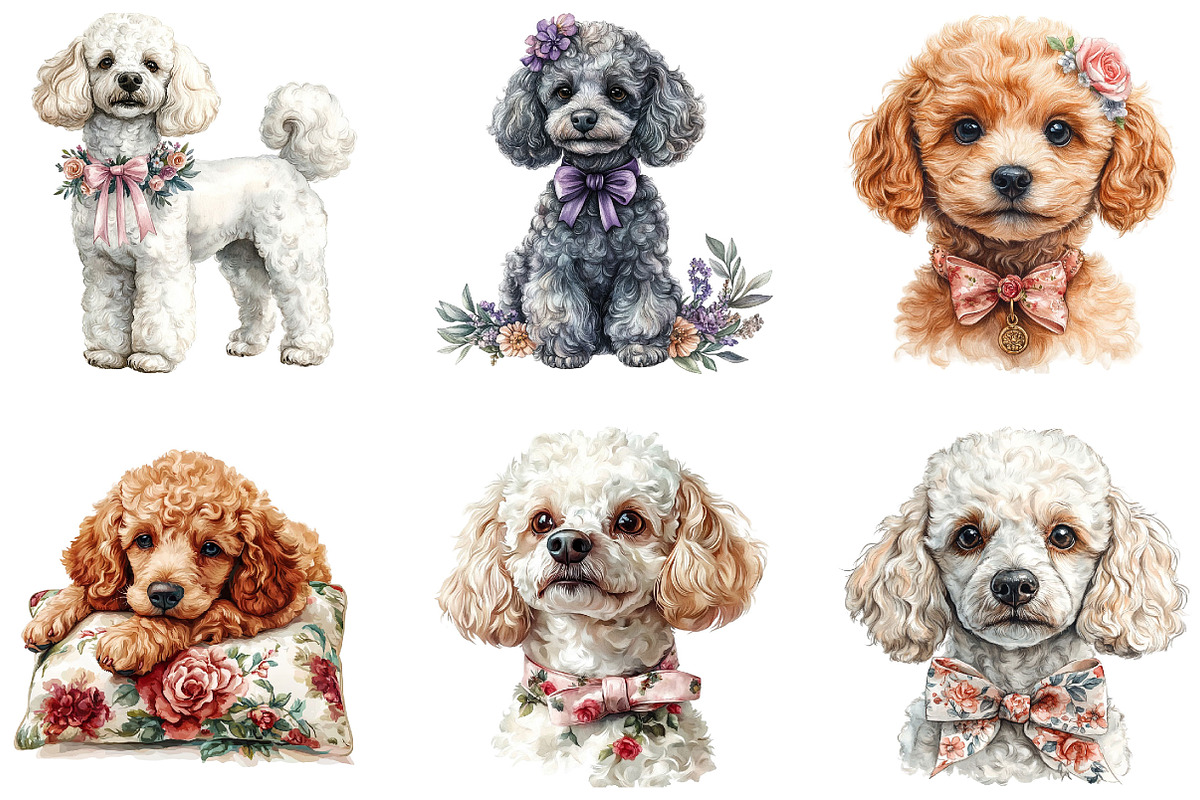 Watercolor Poodle Clipart, a Seasonal Illustration by Designking (Photo 3 of 5)