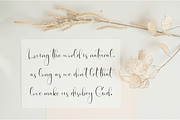 Butterfly | Script Font, a Handwritten Font by Scratchones (Thumbnail 5 of 9)