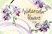 Watercolor flowers set - orchids, an Illustration by My art shop (Thumbnail 1 of 3)