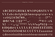 CS Regale Drawn, a Serif Font by Craft Supply Co. (Thumbnail 8 of 8)